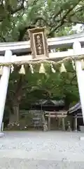 事任八幡宮の鳥居