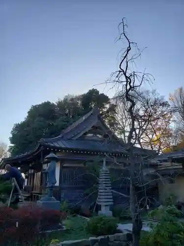 寿福寺(東京都)