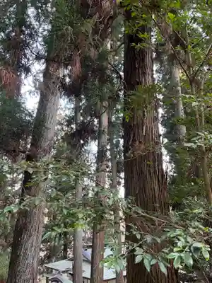 大宮温泉神社(栃木県)