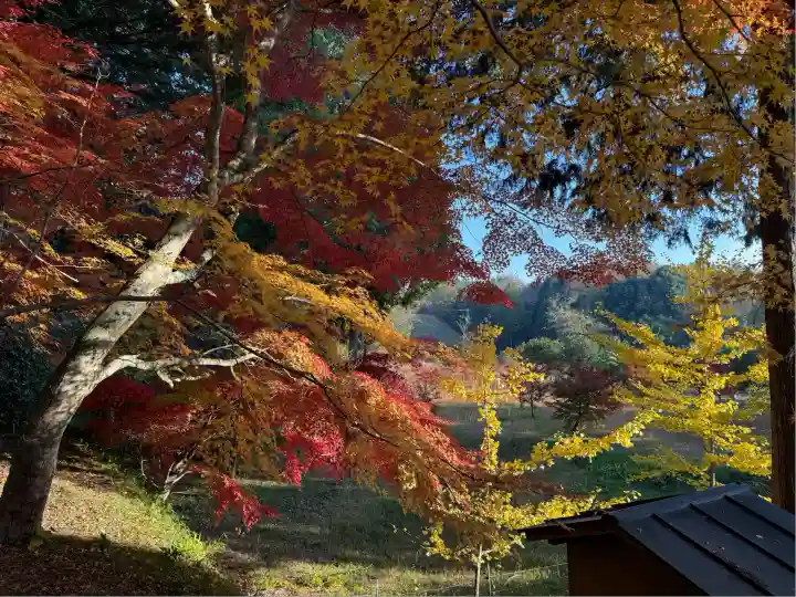 龍泉寺(岡山県)