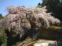 瀧蔵神社の自然