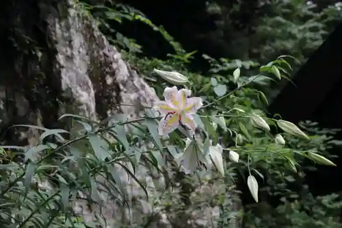 鹿島大神宮の庭園