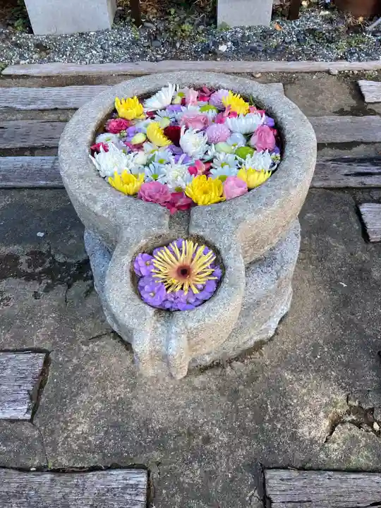 福泉寺(神奈川県)