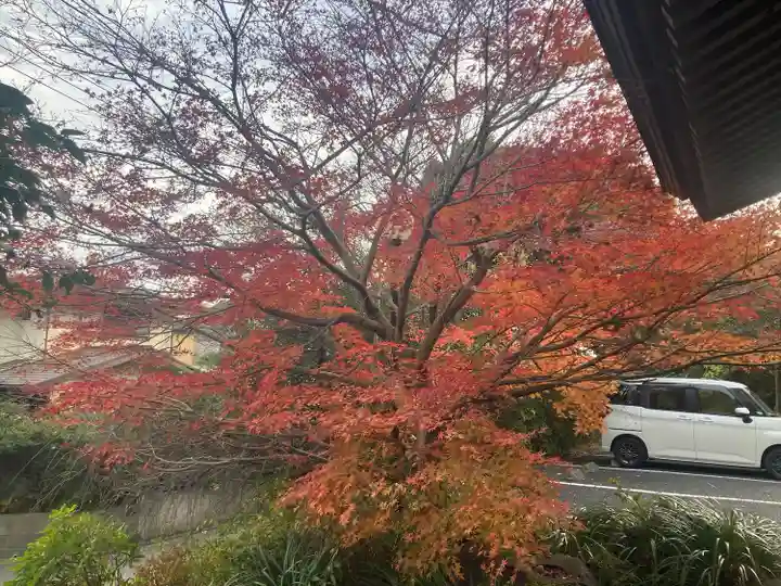 二伝寺(ニ傳寺)(神奈川県)