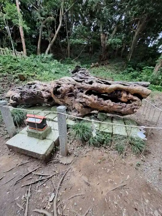 泉神社(茨城県)