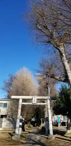 明治神社の鳥居