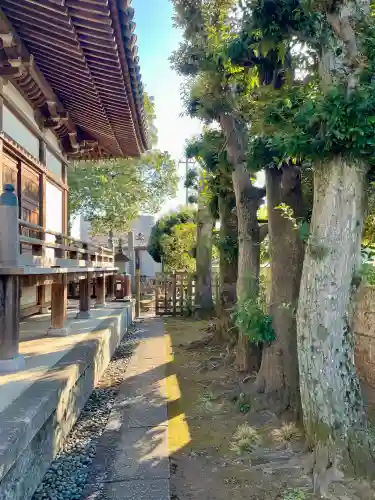 尊勝院の{uncategorized: "未分類", other: "その他", undefined: "問題あり", building: "その他建物", grave: "お墓", sacred_gate: "鳥居", guardian: "狛犬", statue: "像", buddha: "仏像", history: "歴史", nature: "自然", garden: "庭園", animal: "動物", pagoda: "塔", temizu: "手水舎", mountain_gate: "山門・神門", sanctuary: "本殿・本堂", subordinate: "末社・摂社", art: "芸術", scenery: "景色", jizo: "地蔵", ema: "絵馬", goshuin: "御朱印", omikuji: "おみくじ", items: "授与品その他", amulet: "お守り", goshuincho: "御朱印帳", eats: "食事", festival: "お祭り", votive_dance: "神楽", shichigosan: "七五三参", wedding: "結婚式", experience: "体験その他", initially: "初詣", around: "周辺", anti_infection: "感染症対策"}