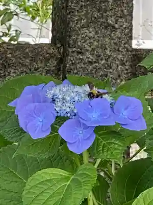 六孫王神社(京都府)