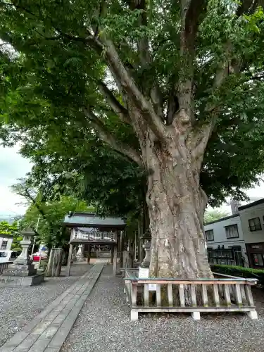 住吉神社(岩手県)