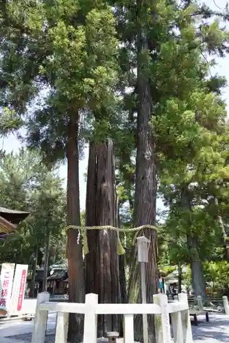 建部大社の自然