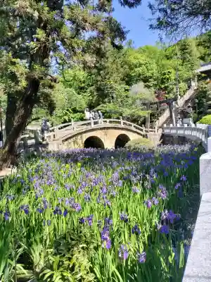 菅原神社の{uncategorized: "未分類", other: "その他", undefined: "問題あり", building: "その他建物", grave: "お墓", sacred_gate: "鳥居", guardian: "狛犬", statue: "像", buddha: "仏像", history: "歴史", nature: "自然", garden: "庭園", animal: "動物", pagoda: "塔", temizu: "手水舎", mountain_gate: "山門・神門", sanctuary: "本殿・本堂", subordinate: "末社・摂社", art: "芸術", scenery: "景色", jizo: "地蔵", ema: "絵馬", goshuin: "御朱印", omikuji: "おみくじ", items: "授与品その他", amulet: "お守り", goshuincho: "御朱印帳", eats: "食事", festival: "お祭り", votive_dance: "神楽", shichigosan: "七五三参", wedding: "結婚式", experience: "体験その他", initially: "初詣", around: "周辺", anti_infection: "感染症対策"}