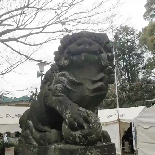 代々木八幡宮の狛犬