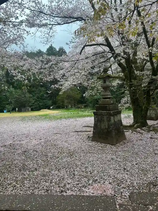 日先神社の{uncategorized: "未分類", other: "その他", undefined: "問題あり", building: "その他建物", grave: "お墓", sacred_gate: "鳥居", guardian: "狛犬", statue: "像", buddha: "仏像", history: "歴史", nature: "自然", garden: "庭園", animal: "動物", pagoda: "塔", temizu: "手水舎", mountain_gate: "山門・神門", sanctuary: "本殿・本堂", subordinate: "末社・摂社", art: "芸術", scenery: "景色", jizo: "地蔵", ema: "絵馬", goshuin: "御朱印", omikuji: "おみくじ", items: "授与品その他", amulet: "お守り", goshuincho: "御朱印帳", eats: "食事", festival: "お祭り", votive_dance: "神楽", shichigosan: "七五三参", wedding: "結婚式", experience: "体験その他", initially: "初詣", around: "周辺", anti_infection: "感染症対策"}
