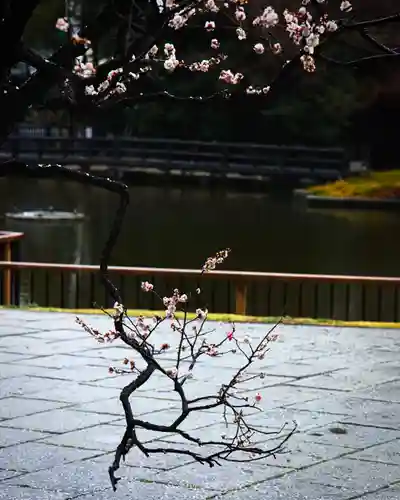 武蔵一宮氷川神社(埼玉県)