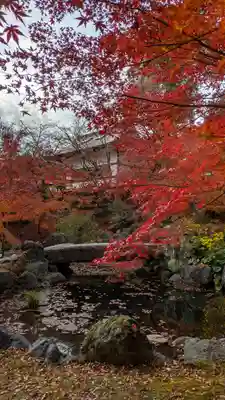 長岡天満宮(京都府)
