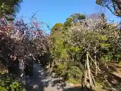 常楽寺(神奈川県)