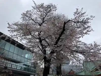 神田神社（神田明神）(東京都)