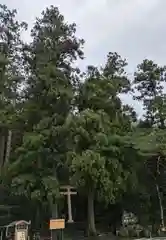 飛瀧神社（熊野那智大社別宮）(和歌山県)