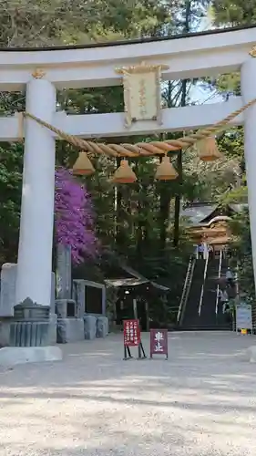 宝登山神社の鳥居