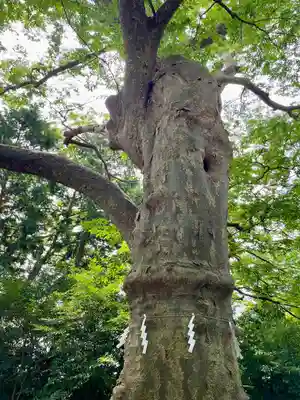 愛宕神社(福島県)