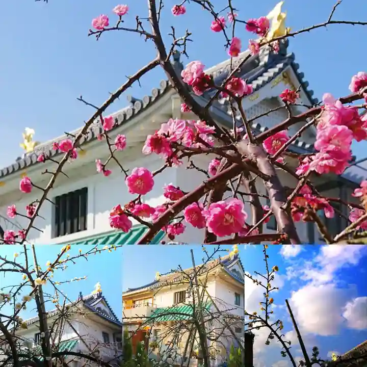 寿量山 速成寺(奈良県)