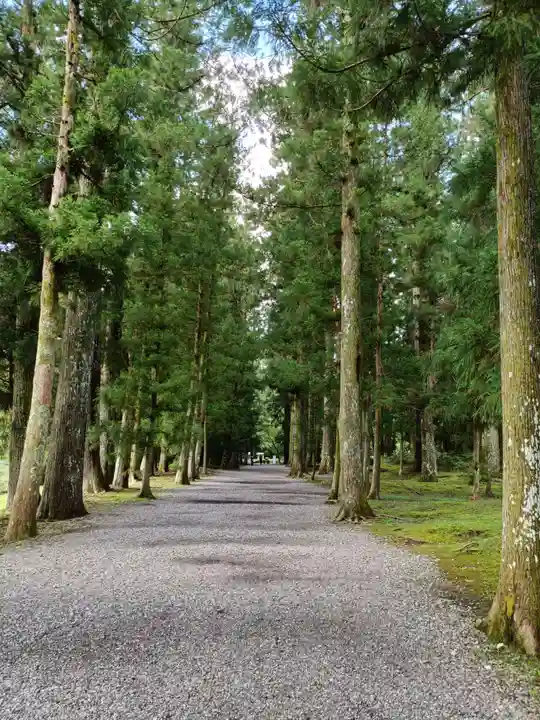 大斎原(熊野本宮大社旧社地)の景色
