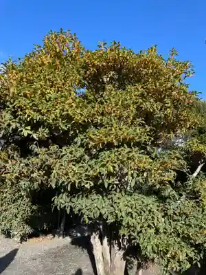 御金神社(京都府)