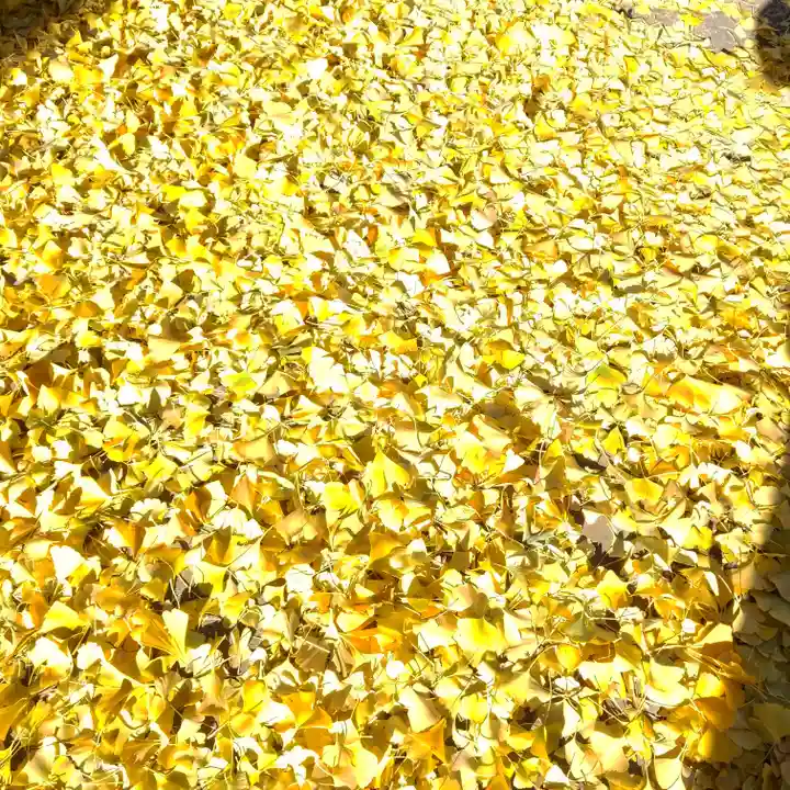 北野神社西町天神の自然