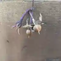 七重浜海津見神社(北海道)