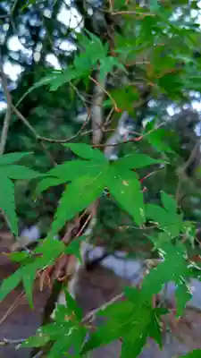 大正天皇多摩陵(東京都)