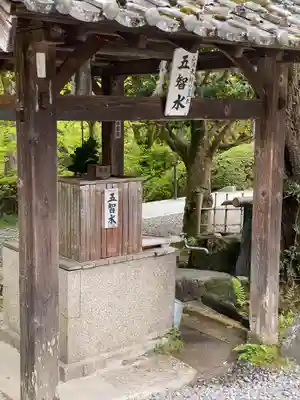 今熊野観音寺(京都府)