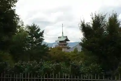 高台寺（高台寿聖禅寺・高臺寺）(京都府)