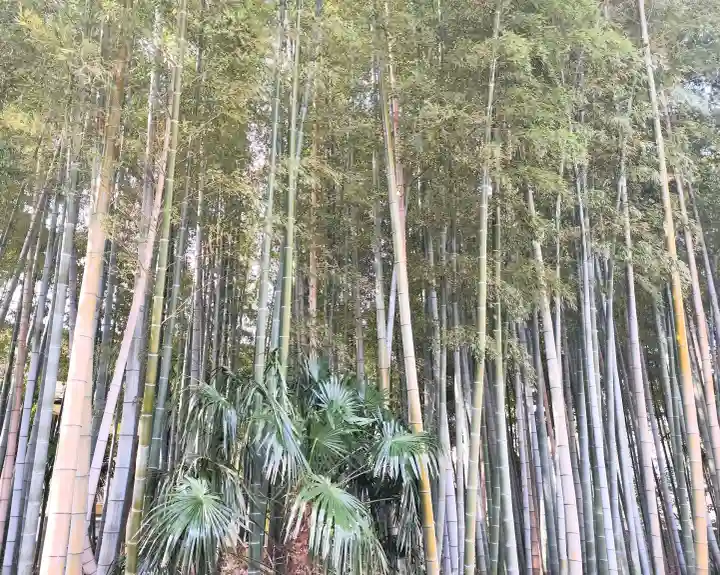 不知森神社の{uncategorized: "未分類", other: "その他", undefined: "問題あり", building: "その他建物", grave: "お墓", sacred_gate: "鳥居", guardian: "狛犬", statue: "像", buddha: "仏像", history: "歴史", nature: "自然", garden: "庭園", animal: "動物", pagoda: "塔", temizu: "手水舎", mountain_gate: "山門・神門", sanctuary: "本殿・本堂", subordinate: "末社・摂社", art: "芸術", scenery: "景色", jizo: "地蔵", ema: "絵馬", goshuin: "御朱印", omikuji: "おみくじ", items: "授与品その他", amulet: "お守り", goshuincho: "御朱印帳", eats: "食事", festival: "お祭り", votive_dance: "神楽", shichigosan: "七五三参", wedding: "結婚式", experience: "体験その他", initially: "初詣", around: "周辺", anti_infection: "感染症対策"}