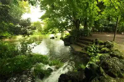 富士山本宮浅間大社(静岡県)