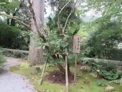 永源寺(滋賀県)