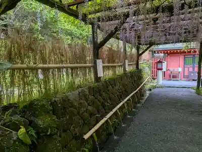 富士山本宮浅間大社(静岡県)