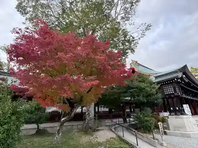 橿原神宮(奈良県)