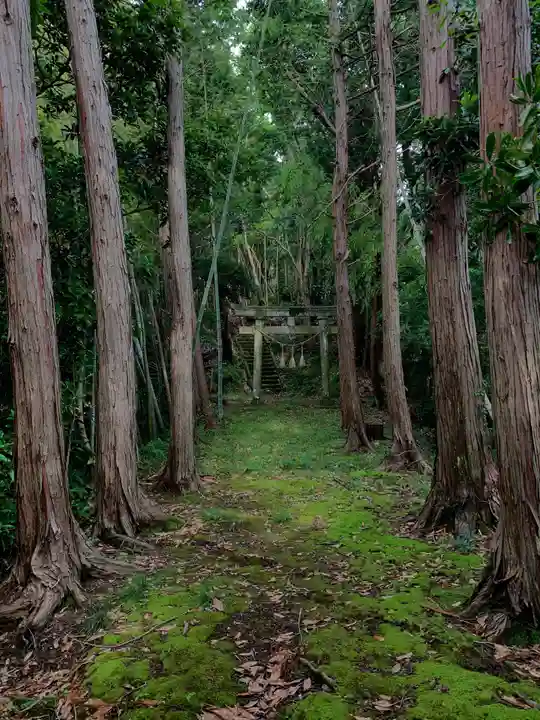 日枝神社の鳥居