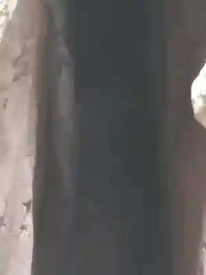 磯山弁財天のその他建物