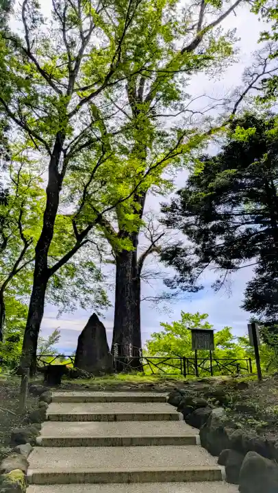 富士山東口本宮 冨士浅間神社の{uncategorized: "未分類", other: "その他", undefined: "問題あり", building: "その他建物", grave: "お墓", sacred_gate: "鳥居", guardian: "狛犬", statue: "像", buddha: "仏像", history: "歴史", nature: "自然", garden: "庭園", animal: "動物", pagoda: "塔", temizu: "手水舎", mountain_gate: "山門・神門", sanctuary: "本殿・本堂", subordinate: "末社・摂社", art: "芸術", scenery: "景色", jizo: "地蔵", ema: "絵馬", goshuin: "御朱印", omikuji: "おみくじ", items: "授与品その他", amulet: "お守り", goshuincho: "御朱印帳", eats: "食事", festival: "お祭り", votive_dance: "神楽", shichigosan: "七五三参", wedding: "結婚式", experience: "体験その他", initially: "初詣", around: "周辺", anti_infection: "感染症対策"}