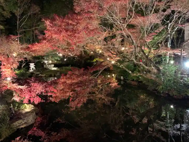 くろ谷 金戒光明寺の庭園