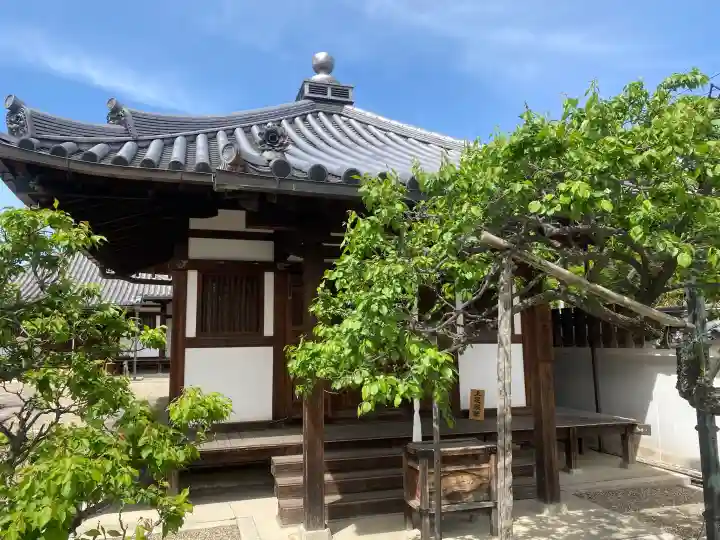 道明寺の{uncategorized: "未分類", other: "その他", undefined: "問題あり", building: "その他建物", grave: "お墓", sacred_gate: "鳥居", guardian: "狛犬", statue: "像", buddha: "仏像", history: "歴史", nature: "自然", garden: "庭園", animal: "動物", pagoda: "塔", temizu: "手水舎", mountain_gate: "山門・神門", sanctuary: "本殿・本堂", subordinate: "末社・摂社", art: "芸術", scenery: "景色", jizo: "地蔵", ema: "絵馬", goshuin: "御朱印", omikuji: "おみくじ", items: "授与品その他", amulet: "お守り", goshuincho: "御朱印帳", eats: "食事", festival: "お祭り", votive_dance: "神楽", shichigosan: "七五三参", wedding: "結婚式", experience: "体験その他", initially: "初詣", around: "周辺", anti_infection: "感染症対策"}