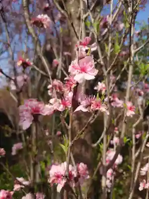 常泉寺(神奈川県)
