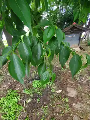 日枝神社(栃木県)
