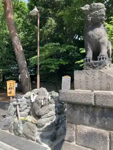 江別神社の狛犬