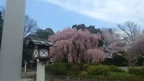 櫻木神社の庭園