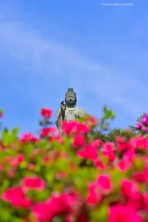 塩船観音寺(東京都)