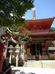 朝護孫子寺(奈良県)