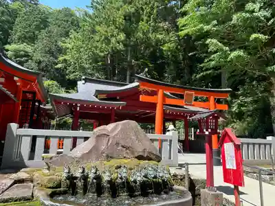 九頭龍神社新宮(神奈川県)