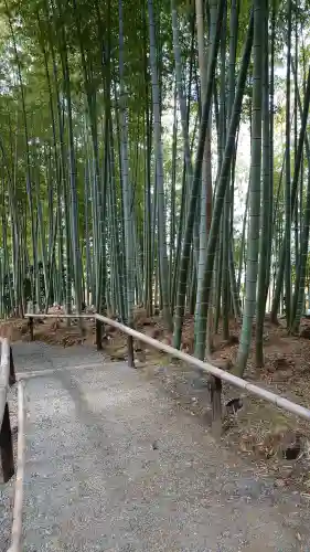 高台寺（高台寿聖禅寺・高臺寺）の{uncategorized: "未分類", other: "その他", undefined: "問題あり", building: "その他建物", grave: "お墓", sacred_gate: "鳥居", guardian: "狛犬", statue: "像", buddha: "仏像", history: "歴史", nature: "自然", garden: "庭園", animal: "動物", pagoda: "塔", temizu: "手水舎", mountain_gate: "山門・神門", sanctuary: "本殿・本堂", subordinate: "末社・摂社", art: "芸術", scenery: "景色", jizo: "地蔵", ema: "絵馬", goshuin: "御朱印", omikuji: "おみくじ", items: "授与品その他", amulet: "お守り", goshuincho: "御朱印帳", eats: "食事", festival: "お祭り", votive_dance: "神楽", shichigosan: "七五三参", wedding: "結婚式", experience: "体験その他", initially: "初詣", around: "周辺", anti_infection: "感染症対策"}